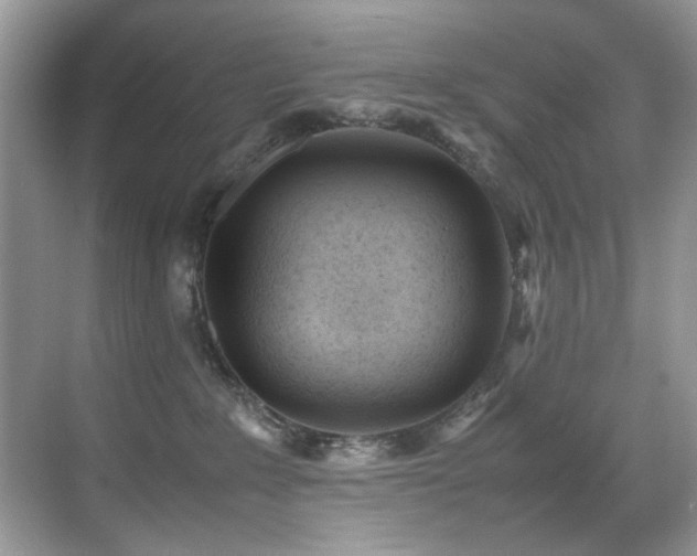X0000070430235200606091312