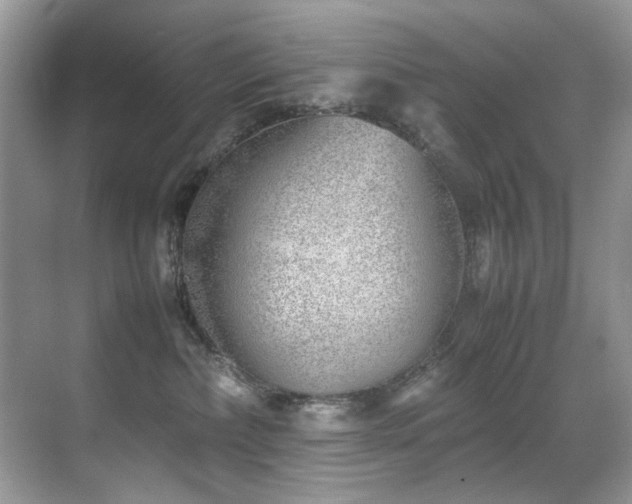X0000070430236200606091312