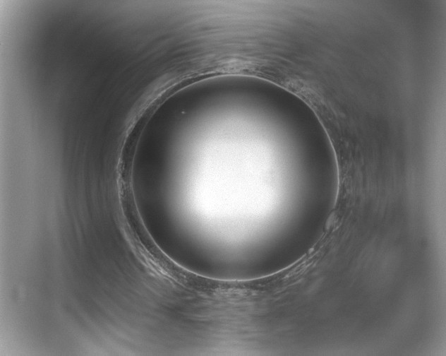 X0000070430242200606091311