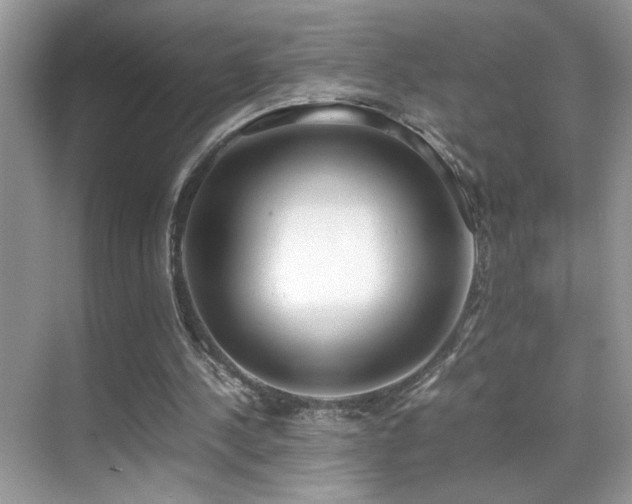 X0000070430244200606091311