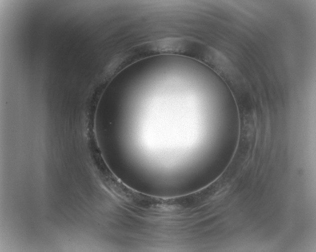X0000070430255200606091311
