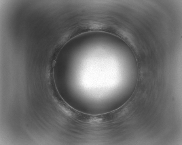 X0000070430257200606091311