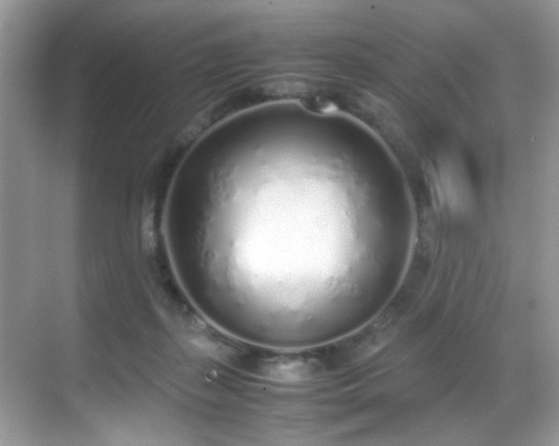 X0000070430267200606091312