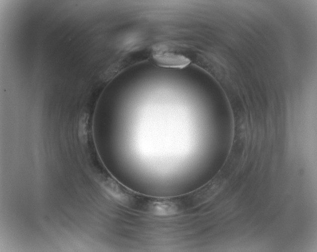 X0000070430275200606091312