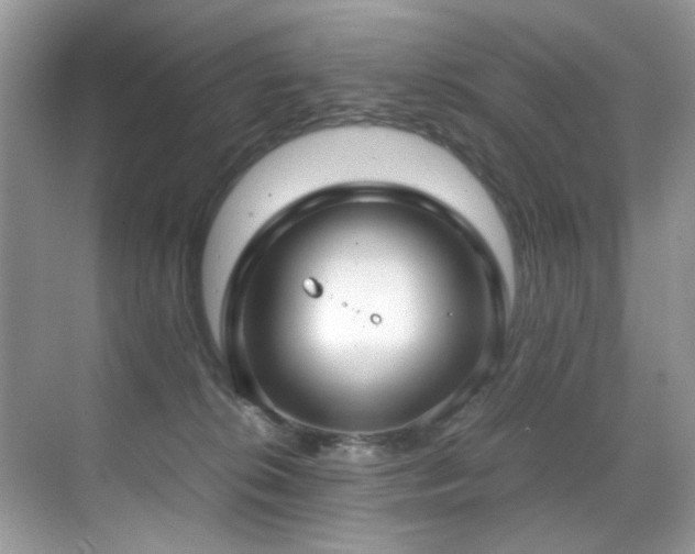 X0000070430276200606091312