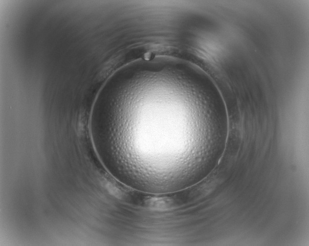 X0000070430277200606091312