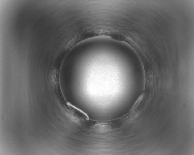 X0000070430280200606091312