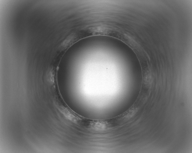 X0000070430282200606091312
