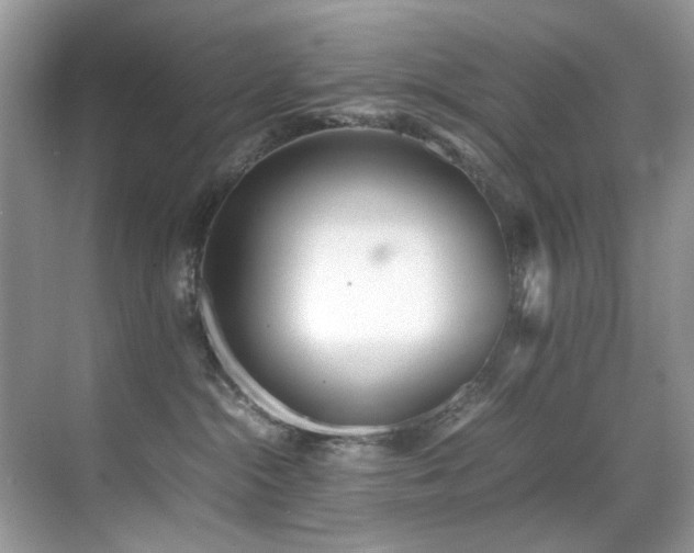 X0000070430284200606091312