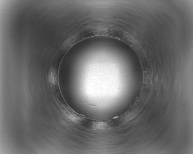 X0000070430287200606091312