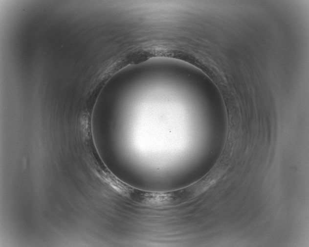X0000070430288200606091312