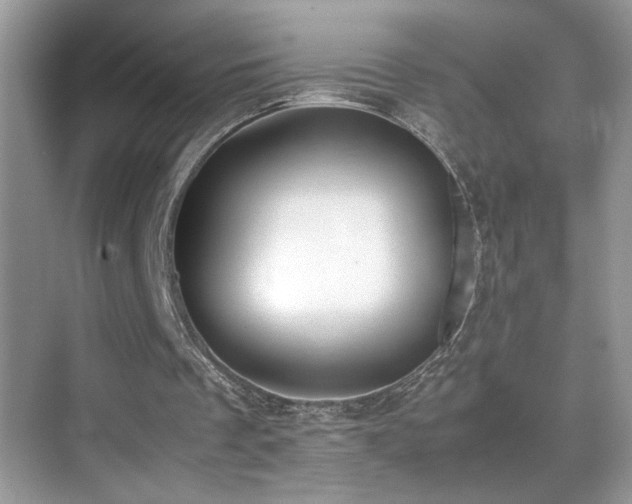 X0000070430289200606091311
