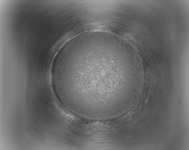 X0000070430290200606091311