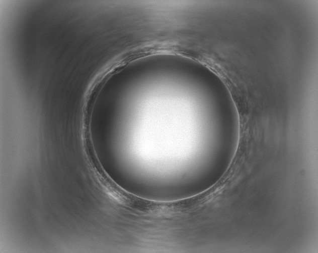 X0000070430293200606091311