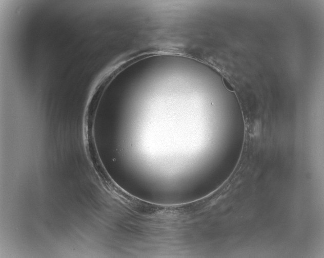 X0000070430294200606091311