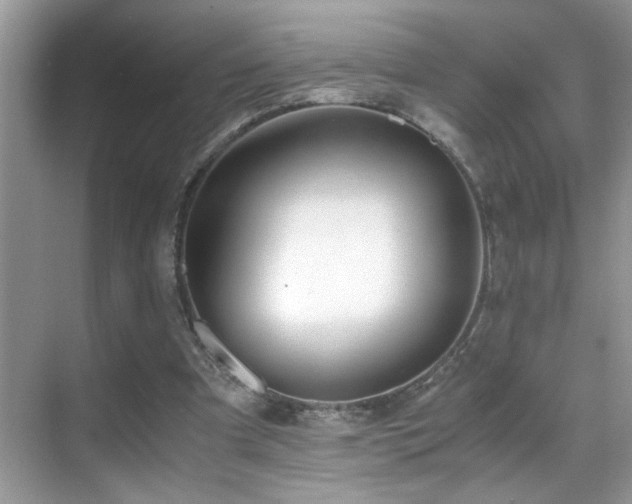X0000070430297200606091311