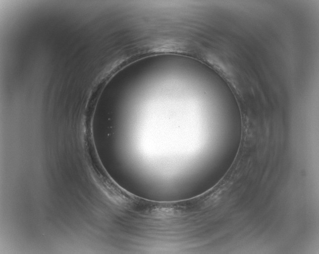 X0000070430298200606091311