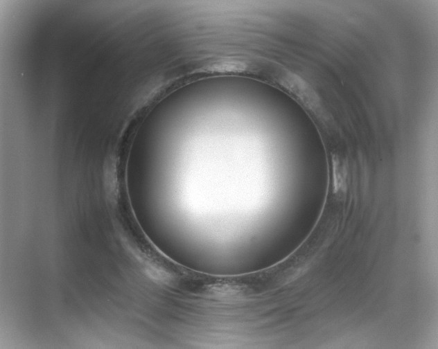 X0000070430300200606091311