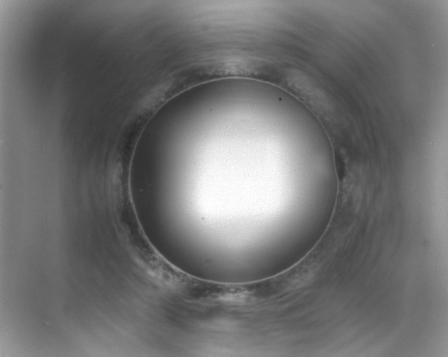 X0000070430306200606091311