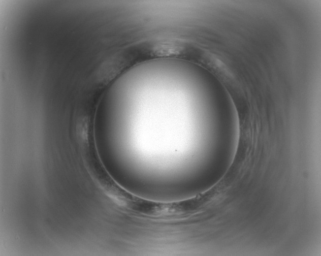 X0000070430315200606091311