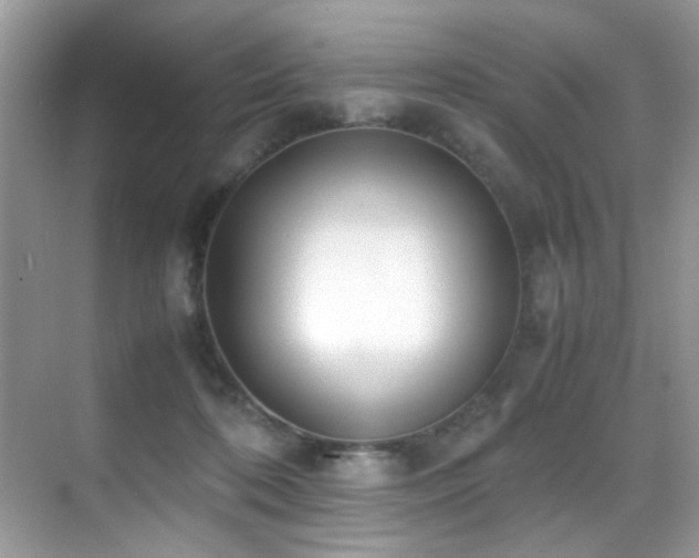 X0000070430316200606091311
