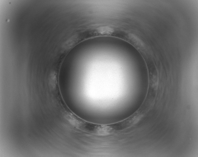 X0000070430321200606091311