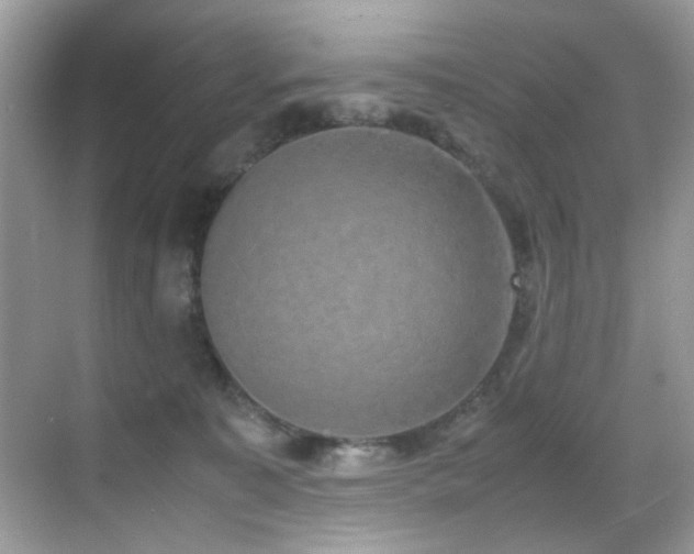 X0000070430323200606091310