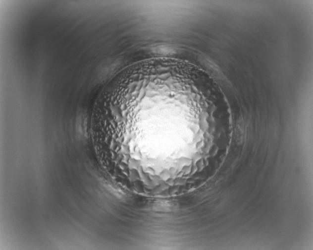 X0000070430330200606091310