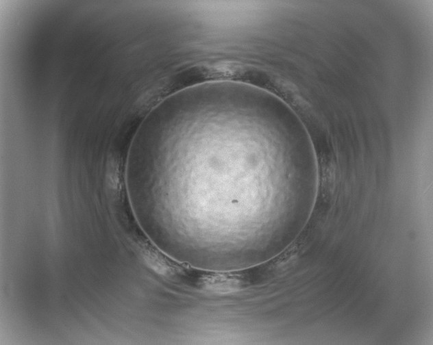 X0000070430331200606091310