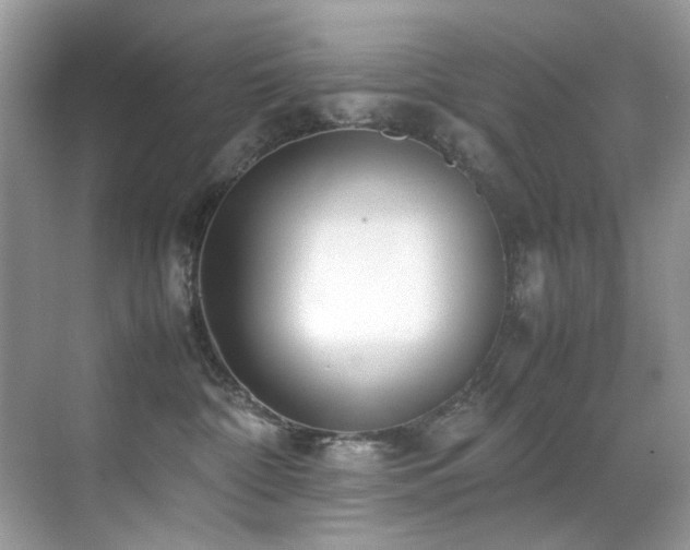 X0000070430332200606091310
