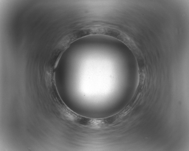 X0000070430333200606091310