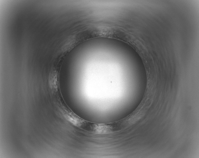X0000070430336200606091310