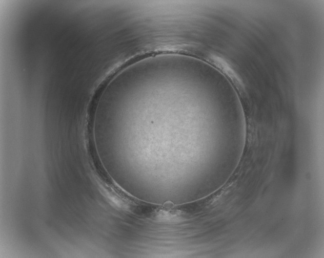 X0000070430346200606091310