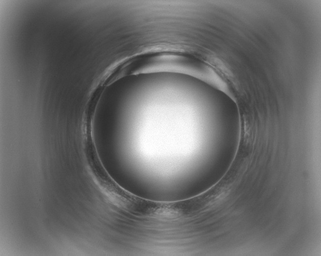 X0000070430348200606091310