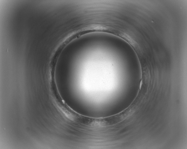 X0000070430350200606091310