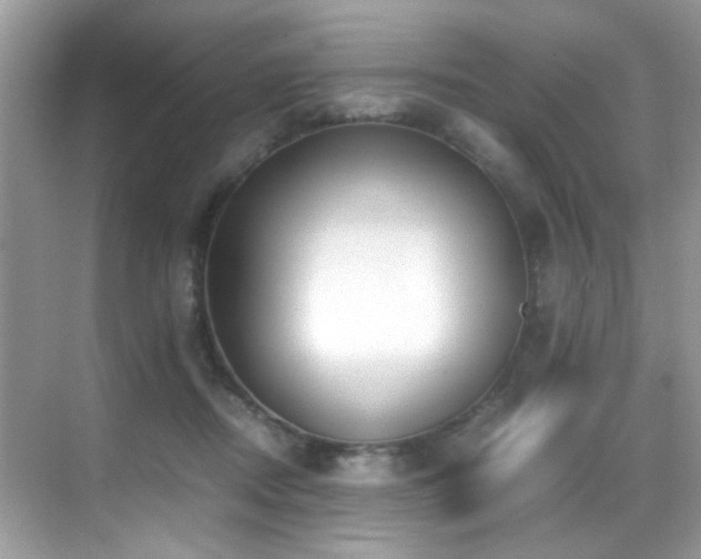X0000070430362200606091310