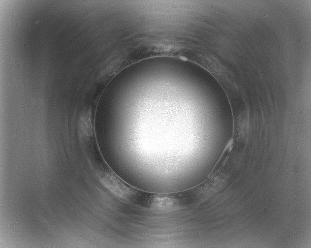 X0000070430376200606091310