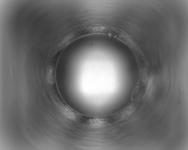 X0000070430378200606091310