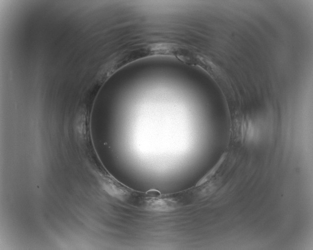 X0000070430379200606091310