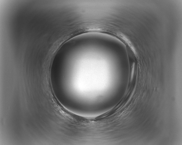X0000070430385200606091309