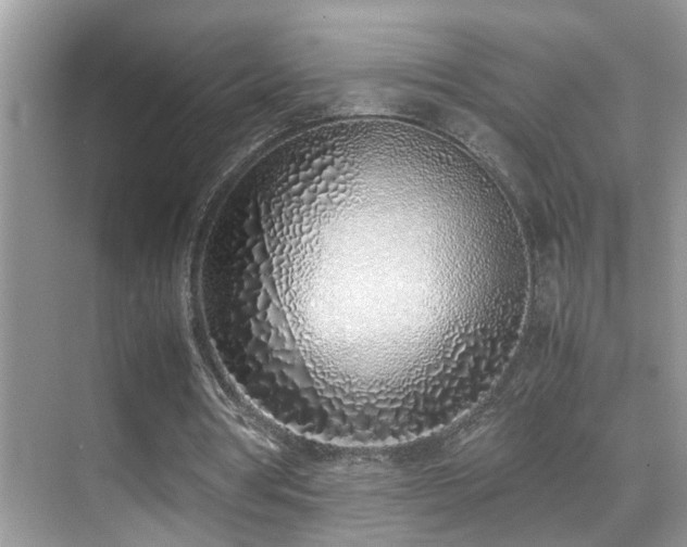 X0000070430386200606091309