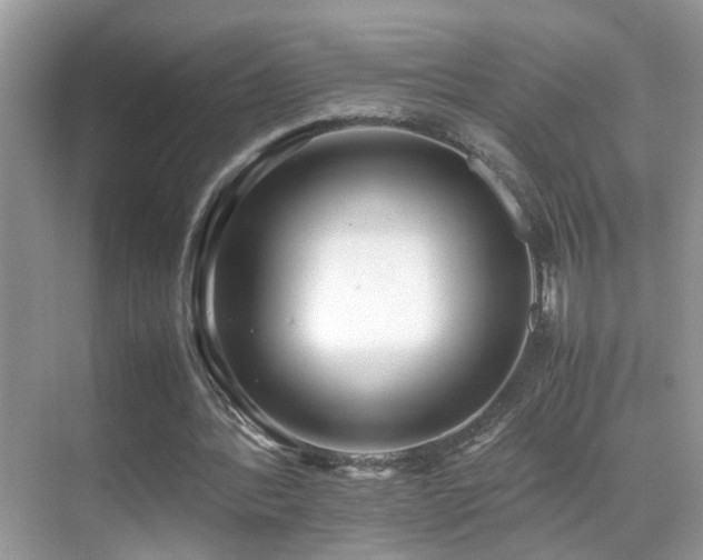 X0000070430388200606091309