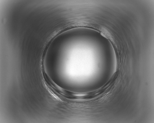 X0000070430389200606091309