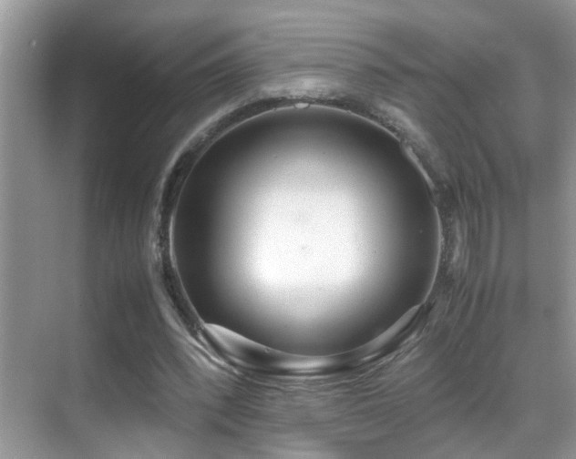 X0000070430392200606091309