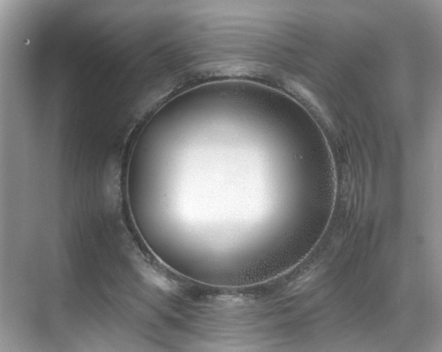 X0000070430394200606091309