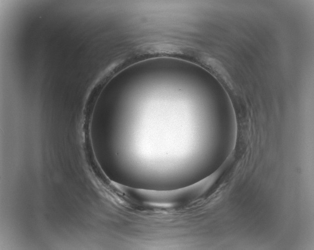 X0000070430395200606091309