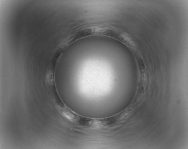 X0000070430419200606091309