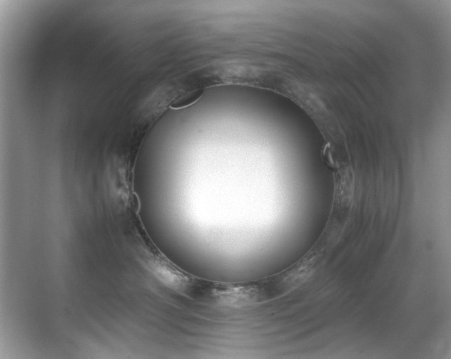 X0000070430430200606091309
