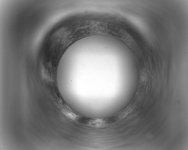 X0000070430431200606091309