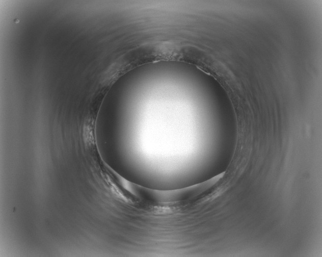 X0000070430432200606091309